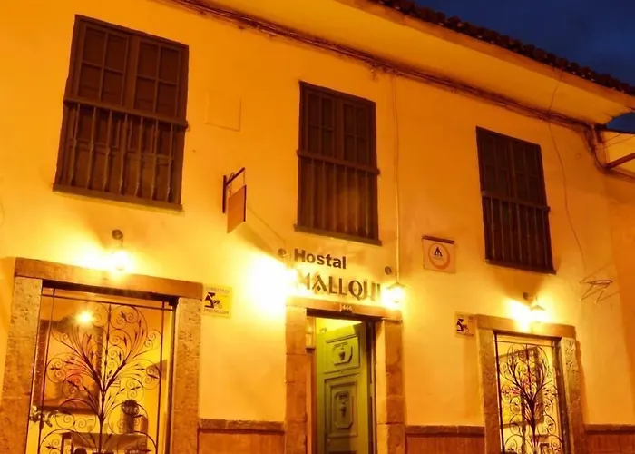 Mallqui